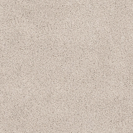 Close-up of the Tribute Family Friendly Carpet in Abrash—a light beige, textured, and softly speckled surface that offers comfort and practicality for families.
