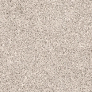 Close-up of the Tribute Family Friendly Carpet in Abrash—a light beige, textured, and softly speckled surface that offers comfort and practicality for families.