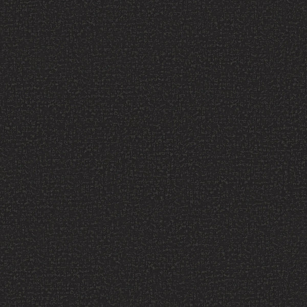 The Crafted Tone Pet Friendly Carpet in After Dark features a solid black surface with a subtle, barely noticeable texture throughout—no visible shapes or patterns, offering a sleek and durable carpeting option.