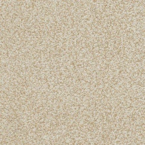 Close-up of Boca Raton Family Friendly Carpet in Ageless—a beige, textured flooring crafted from premium materials for a soft, plush feel and lasting durability. Its uniform, slightly speckled look is ideal for enhancing any Boca Raton home.