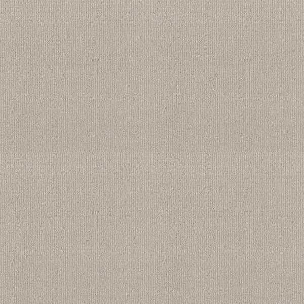 Sierra Vista Pet Friendly Carpet in Alabaster features a light beige textured pattern with fine vertical and horizontal lines. Its soft, neutral look is ideal for modern spaces, offering durability that’s perfect for upholstery or flooring.