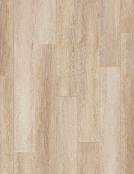 Coretec Pro Plus Enhanced Vinyl features light wood-look waterproof planks with natural grain patterns in beige to light tan tones, arranged in a staggered layout for a warm, stylish, and durable finish ideal for any space.