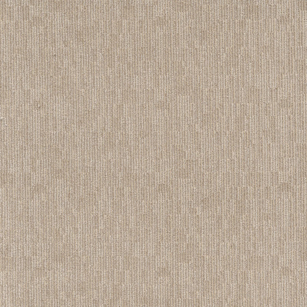 Close-up of Sneak Peak Berber Carpet in Almond Latte, showcasing its subtle vertical linear pattern and dense pile for comfort and durability, offering a soft, neutral background.