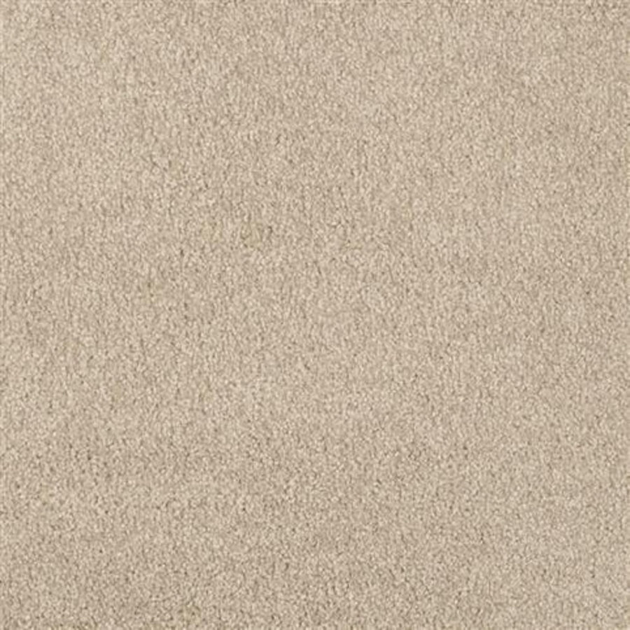 Close-up view of Oceanside Family Friendly Carpet in Alphano, featuring a soft, textured surface and uniform color. Its short, dense fibers create plush, inviting flooring that's smooth underfoot—ideal for everyday family comfort.