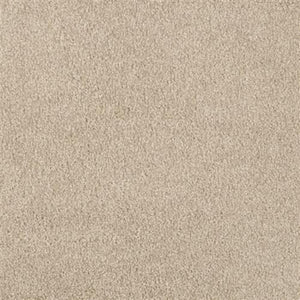 Close-up view of Oceanside Family Friendly Carpet in Alphano, featuring a soft, textured surface and uniform color. Its short, dense fibers create plush, inviting flooring that's smooth underfoot—ideal for everyday family comfort.