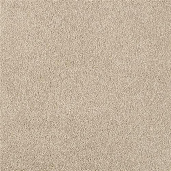 Close-up view of Oceanside Family Friendly Carpet in Alphano, featuring a soft, textured surface and uniform color. Its short, dense fibers create plush, inviting flooring that's smooth underfoot—ideal for everyday family comfort.