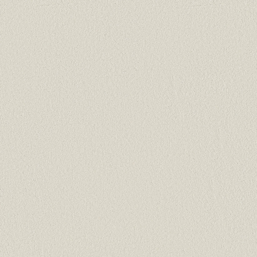 A smooth, light beige surface in Alpine Snow resembles the Smooth Tone Pet Friendly Carpet—stain resistant and ideal for busy, pet-friendly homes.