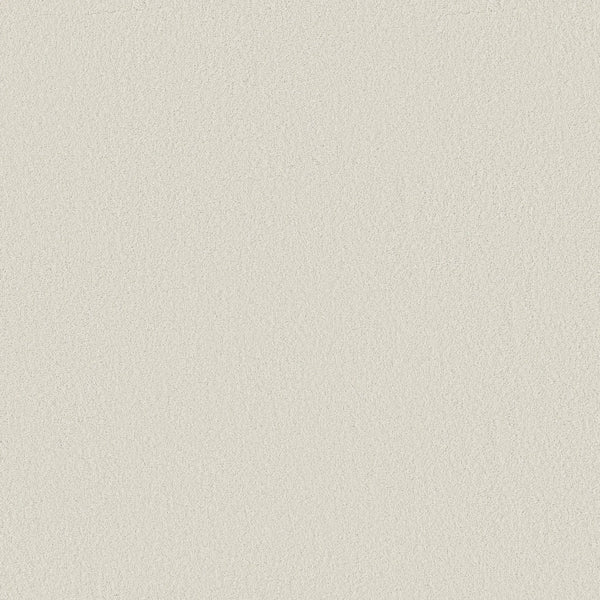 A smooth, light beige surface in Alpine Snow resembles the Smooth Tone Pet Friendly Carpet—stain resistant and ideal for busy, pet-friendly homes.