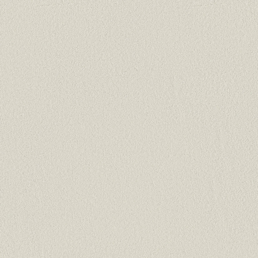 A close-up of Classic Tone Blue Pet Friendly Carpet in Alpine Snow, featuring a light beige, subtly textured surface with a gentle grain and consistent, uniform color throughout.