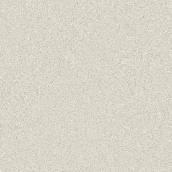 A close-up of Classic Tone Blue Pet Friendly Carpet in Alpine Snow, featuring a light beige, subtly textured surface with a gentle grain and consistent, uniform color throughout.
