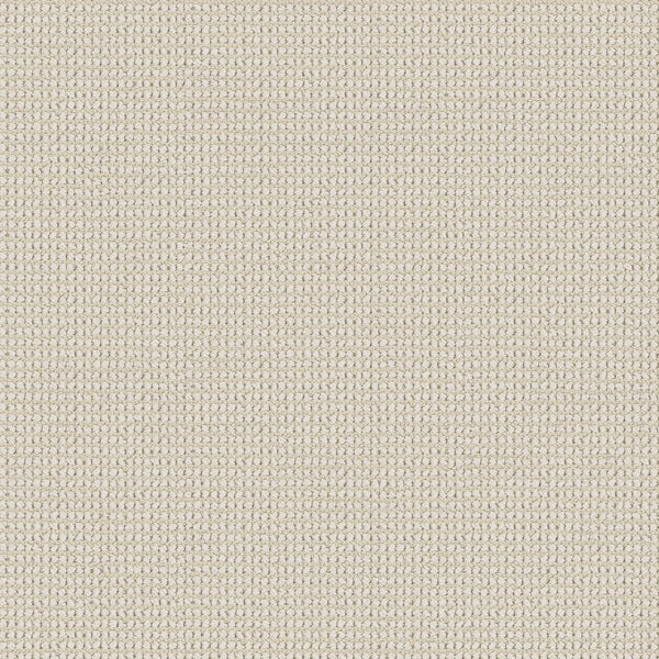 Close-up of Knitted Tone Blue Pet Friendly Carpet in Alpine Snow, showing a soft beige fabric with a small, repeating grid-like pattern—perfect for luxurious, pet-friendly flooring.