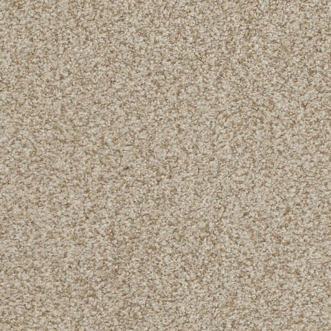 Close-up of Boca Raton Family Friendly Carpet in Amazing color, featuring a soft, plush texture with dense, uniform fibers and subtle speckling—crafted from premium materials for durable, comfortable flooring.