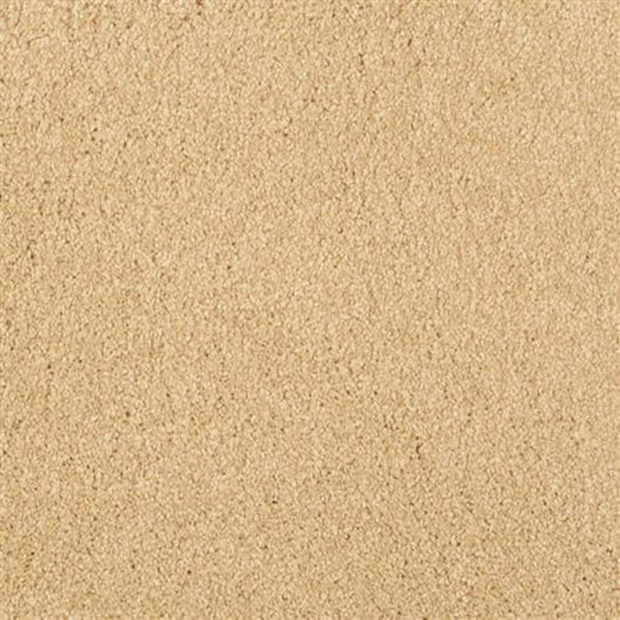 Close-up view of Oceanside Family Friendly Carpet in Ambiance color, featuring a plush, soft texture—perfect for families seeking comfortable and inviting flooring.