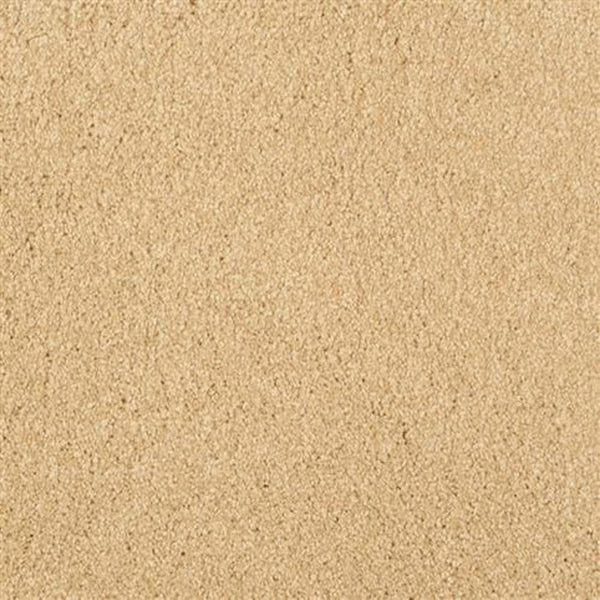 Close-up view of Oceanside Family Friendly Carpet in Ambiance color, featuring a plush, soft texture—perfect for families seeking comfortable and inviting flooring.