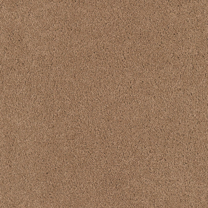 Close-up of Tribute Family Friendly Carpet in Antigua color, featuring a textured, speckled brown surface resembling cork or coarse sandpaper—ideal for durable, family-friendly spaces.