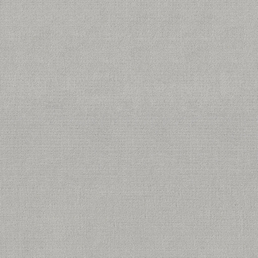 Sierra Vista Pet Friendly Carpet in Antique Gray offers a seamless, subtly ribbed texture with a flecked, fuzzy look—perfect for contemporary interiors and comfortable underfoot.