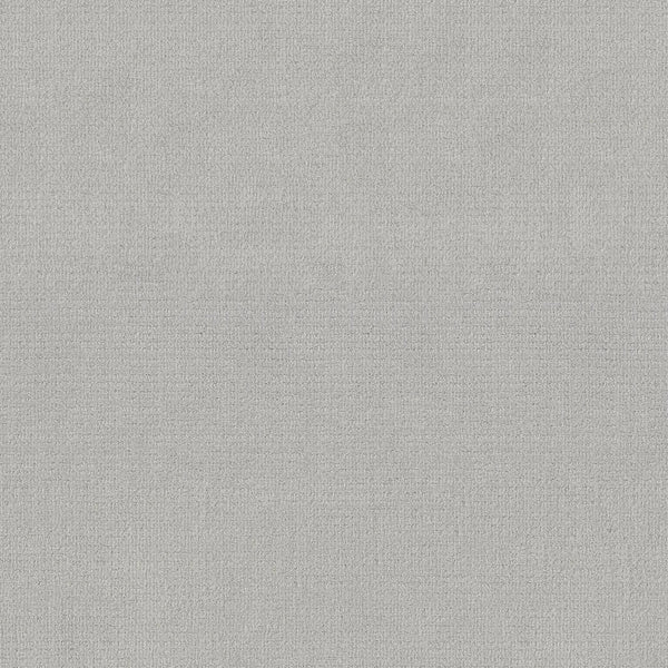 Sierra Vista Pet Friendly Carpet in Antique Gray offers a seamless, subtly ribbed texture with a flecked, fuzzy look—perfect for contemporary interiors and comfortable underfoot.