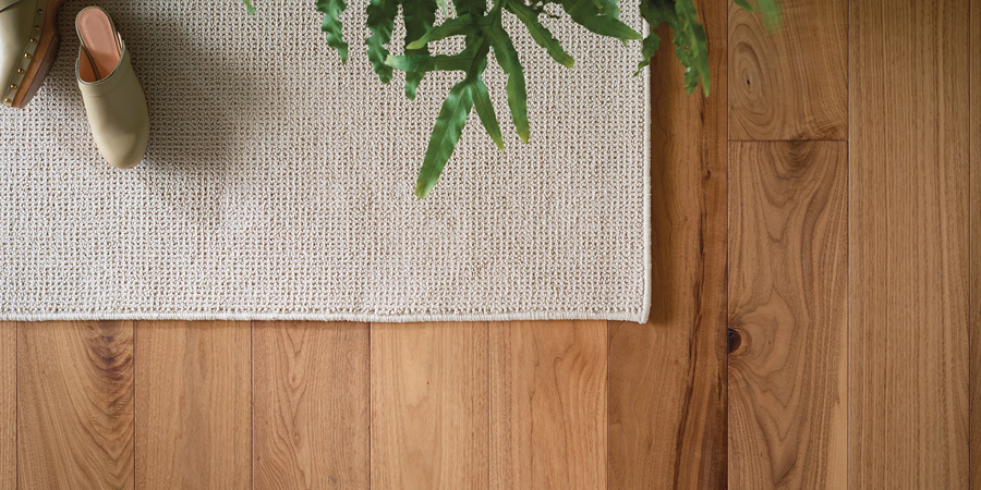 A top-down view of a wooden floor partially covered by a beige textured rug. A green leafy plant is in the top center, and a single light-colored shoe is visible in the upper left corner.