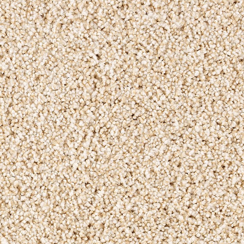 Close-up of Shade Escape Family Friendly Carpet in Aria, featuring a plush, soft texture and tightly packed fibers. The uniform pattern highlights its durable, detailed material, making it an ideal family friendly carpet choice.