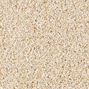 Close-up of Shade Escape Family Friendly Carpet in Aria, featuring a plush, soft texture and tightly packed fibers. The uniform pattern highlights its durable, detailed material, making it an ideal family friendly carpet choice.