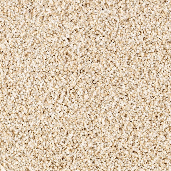 Close-up of Shade Escape Family Friendly Carpet in Aria, featuring a plush, soft texture and tightly packed fibers. The uniform pattern highlights its durable, detailed material, making it an ideal family friendly carpet choice.