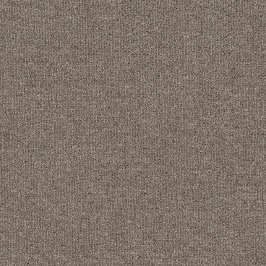 Close-up of Sierra Vista Pet Friendly Carpet in Arrowhead color, featuring a soft, uniform textured surface with a subtle woven pattern and slightly raised threads—ideal comfort and contemporary style for any space.