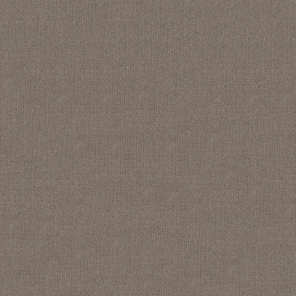 Close-up of Sierra Vista Pet Friendly Carpet in Arrowhead color, featuring a soft, uniform textured surface with a subtle woven pattern and slightly raised threads—ideal comfort and contemporary style for any space.
