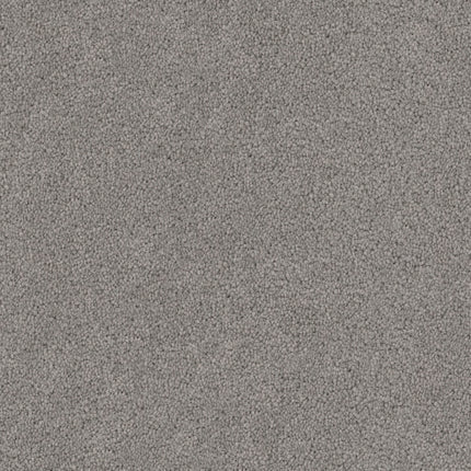Close-up of Tribute Family Friendly Carpet in Art Deco color, featuring a dense, soft, and even light gray pile—perfect for anyone seeking a durable, family-friendly carpet.