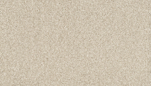 Close-up of Artisan Elements Family Friendly Carpet in Haven—a fine, light beige stain-resistant surface with a slightly rough texture, ideal for high-traffic areas and perfect for family-friendly spaces.