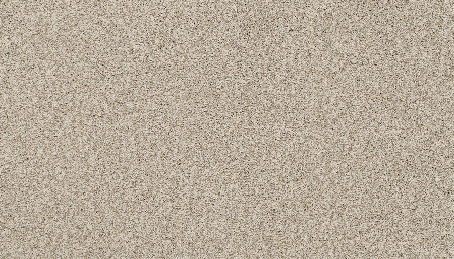 A close-up of Artisan Elements Family Friendly Carpet in Bare, featuring a textured, light beige surface with fine grains packed evenly for a natural, uniform look—perfect for high-traffic areas.