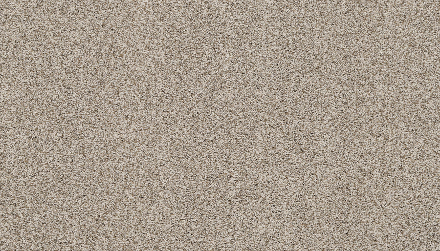 Close-up view of the Artisan Elements Family Friendly Carpet in Mountain color, featuring a textured surface with fine, light tones—perfect for high-traffic areas and ideal for families.