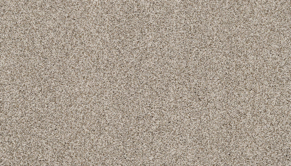 Close-up view of the Artisan Elements Family Friendly Carpet in Mountain color, featuring a textured surface with fine, light tones—perfect for high-traffic areas and ideal for families.