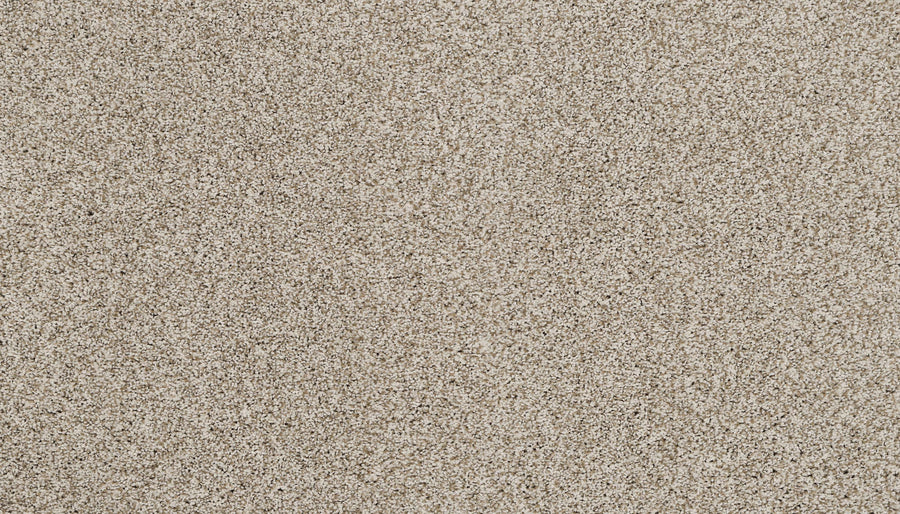 Close-up view of fine, light beige grains, similar to Artisan Elements Family Friendly Carpet in Sugar—stain-resistant and ideal for high-traffic, family spaces.