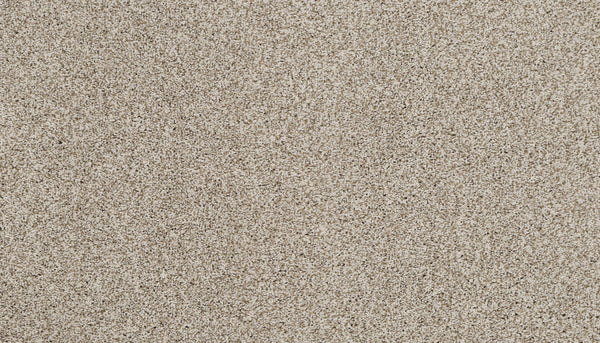 Close-up view of fine, light beige grains, similar to Artisan Elements Family Friendly Carpet in Sugar—stain-resistant and ideal for high-traffic, family spaces.