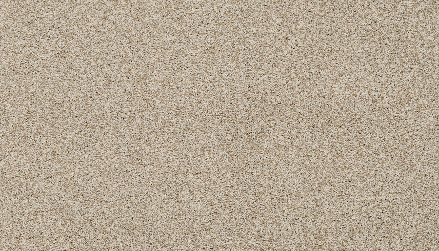 Close-up view of Artisan Elements Family Friendly Carpet in Renoir—fine, light beige color with a uniform, grainy texture, ideal for high-traffic areas where durability and comfort matter. Surface is seamless with no distinct objects or patterns.