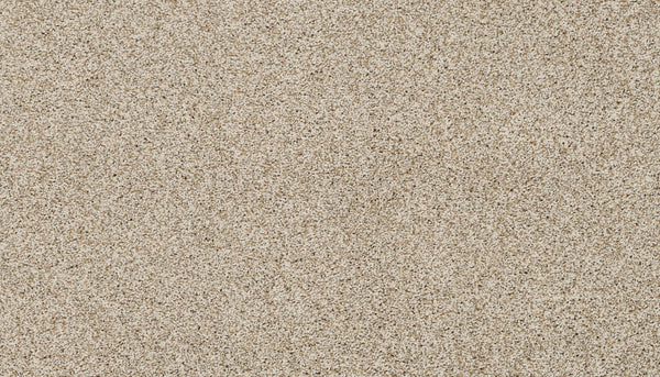 Close-up view of Artisan Elements Family Friendly Carpet in Renoir—fine, light beige color with a uniform, grainy texture, ideal for high-traffic areas where durability and comfort matter. Surface is seamless with no distinct objects or patterns.