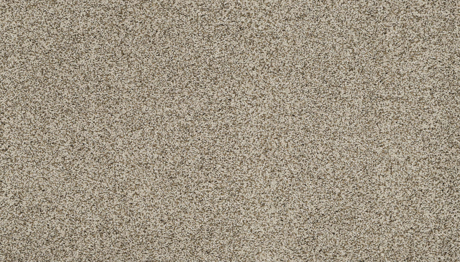 Close-up of the Artisan Elements Family Friendly Carpet in Cashmere, featuring a dense, soft pile and stain-resistant, speckled beige texture—ideal for high-traffic spaces with its blend of light and dark fibers. No distinct objects present.