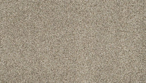 Close-up of the Artisan Elements Family Friendly Carpet in Cashmere, featuring a dense, soft pile and stain-resistant, speckled beige texture—ideal for high-traffic spaces with its blend of light and dark fibers. No distinct objects present.
