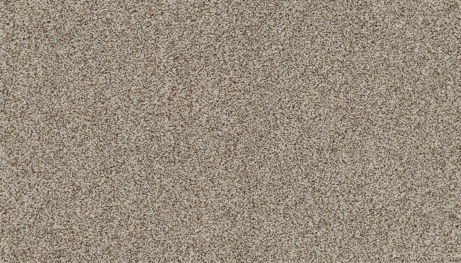 Close-up of Artisan Elements Family Friendly Carpet in Cuban showcases its densely packed, coarse, light brown fibers—offering a textured, durable surface perfect for high-traffic, family spaces with natural, rugged appeal.
