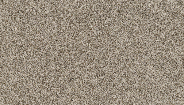 Close-up of Artisan Elements Family Friendly Carpet in Cuban showcases its densely packed, coarse, light brown fibers—offering a textured, durable surface perfect for high-traffic, family spaces with natural, rugged appeal.