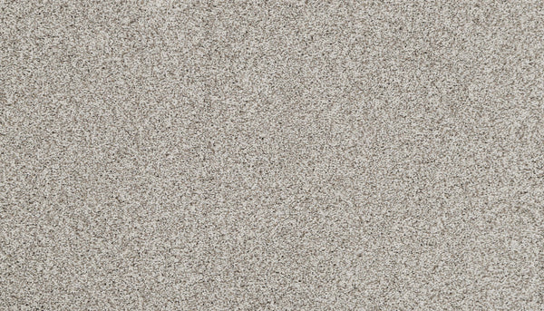 Close-up view of densely packed, fine, light Greenwich fibers on the Artisan Elements Family Friendly Carpet, creating a uniform and textured surface ideal for high-traffic areas.