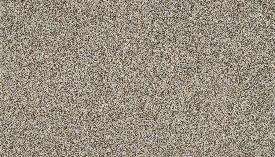 A close-up of Artisan Elements Family Friendly Carpet in Bali color shows a textured surface with beige and brown grains, highlighting its stain resistance and suitability for high-traffic areas.