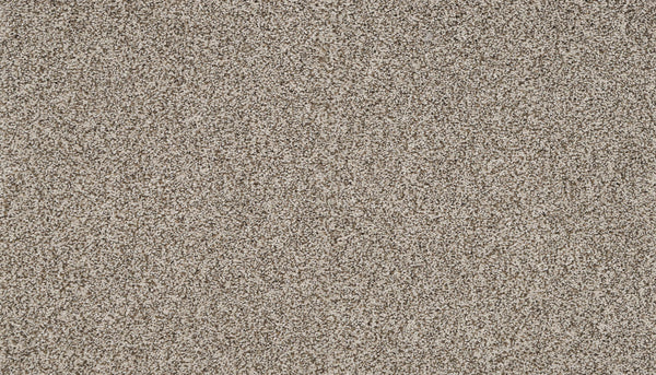 A close-up of Artisan Elements Family Friendly Carpet in Bali color shows a textured surface with beige and brown grains, highlighting its stain resistance and suitability for high-traffic areas.