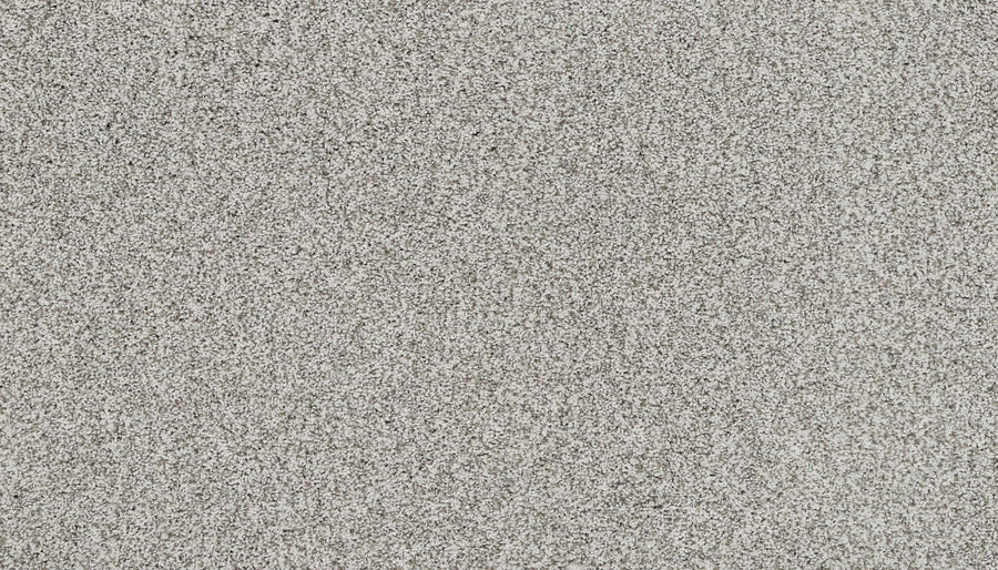 Close-up of Artisan Elements Family Friendly Carpet in Raven shows a textured, stain-resistant surface with evenly spread grains and a uniform speckled pattern in light gray and white—perfect for high-traffic areas.