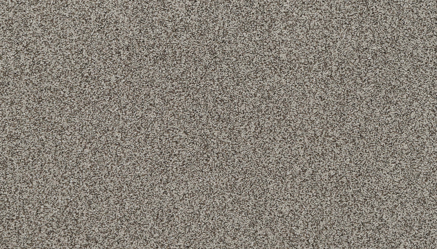 Close-up of Artisan Elements Family Friendly Carpet in Rockport color, showing a flat, densely packed layer of fine, light brown and gray fibers—a textured, speckled surface ideal for high-traffic family areas.