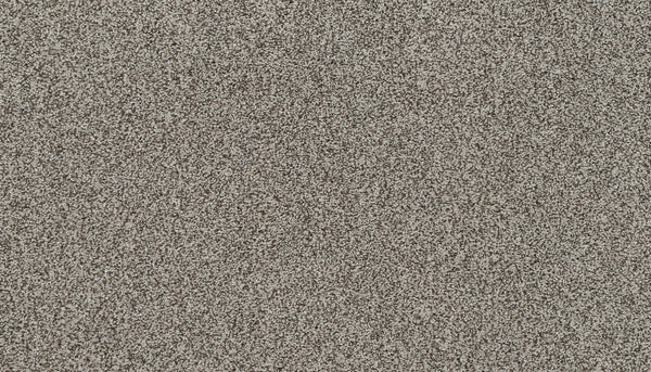 Close-up of Artisan Elements Family Friendly Carpet in Rockport color, showing a flat, densely packed layer of fine, light brown and gray fibers—a textured, speckled surface ideal for high-traffic family areas.