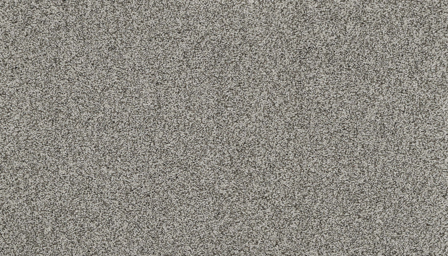 Close-up view of Artisan Elements Family Friendly Carpet in Graystone, featuring a textured surface with fine, evenly distributed gray and white granules—perfect for stain resistance in high-traffic areas.