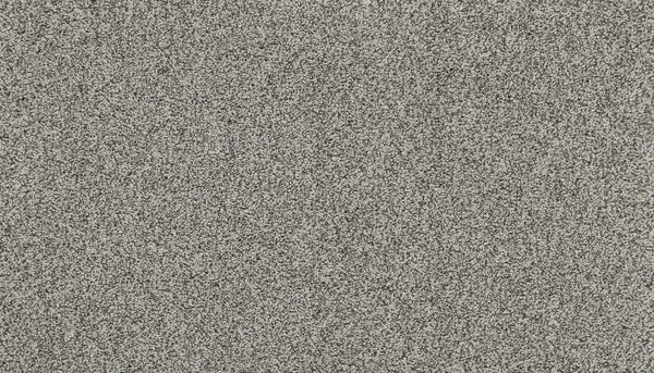 Close-up view of Artisan Elements Family Friendly Carpet in Graystone, featuring a textured surface with fine, evenly distributed gray and white granules—perfect for stain resistance in high-traffic areas.