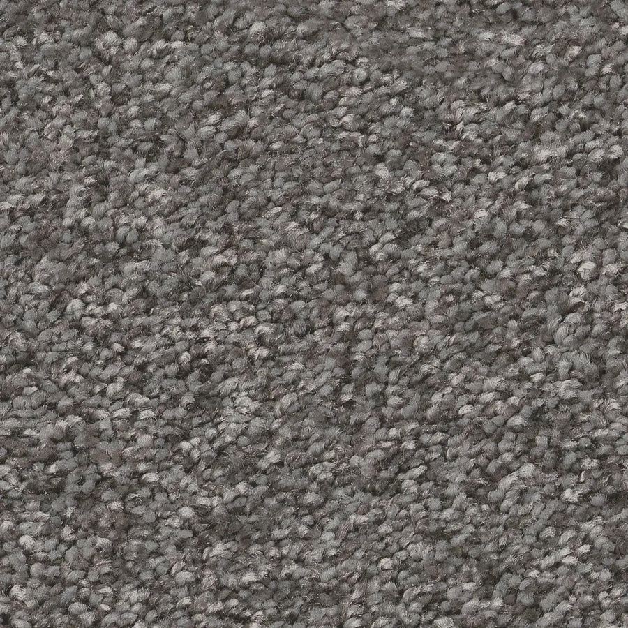 Close-up of You Got This III Pet Friendly Carpet in Ashes—a dense, soft loop-pile carpet with a speckled gray texture, offering durable comfort and a modern look, ideal for any pet-friendly home.