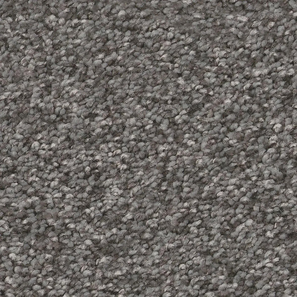 Close-up of You Got This III Pet Friendly Carpet in Ashes—a dense, soft loop-pile carpet with a speckled gray texture, offering durable comfort and a modern look, ideal for any pet-friendly home.